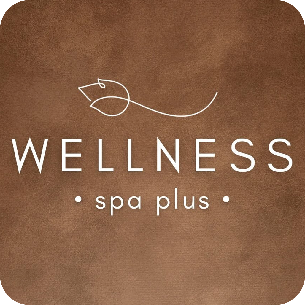 Премиум SPA, бани, сауна, бассейн от 99р в "Wellness Spa Plus"